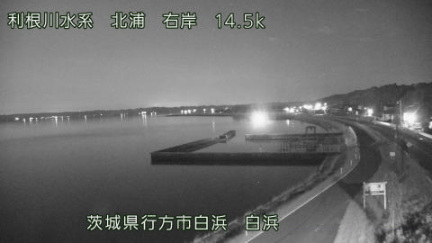 sira2026080200_image