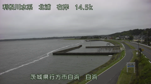 sira2026080217_image