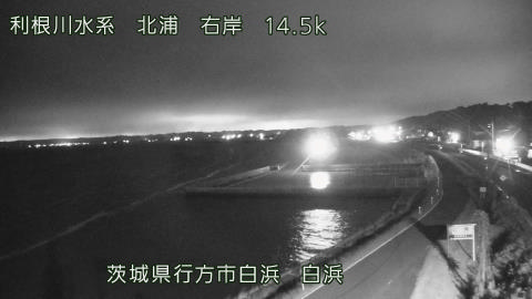sira2026080220_image