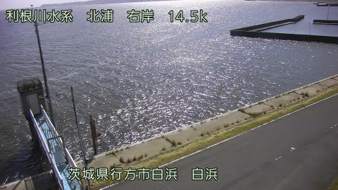 sira2026101312_image