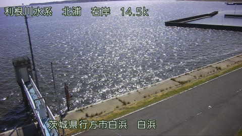 sira2026101812_image