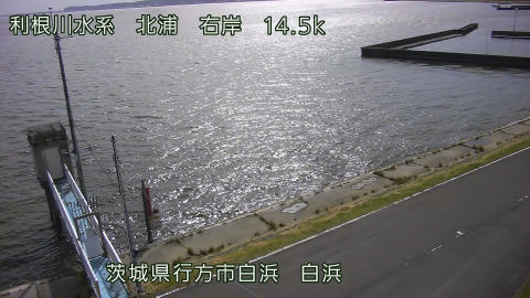 sira2026101912_image