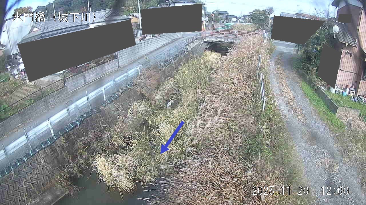 sirosi2025112012_image