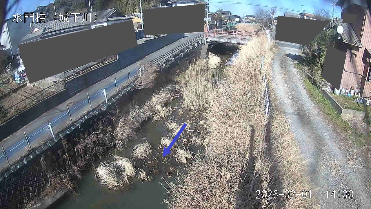 sirosi2026020114_image