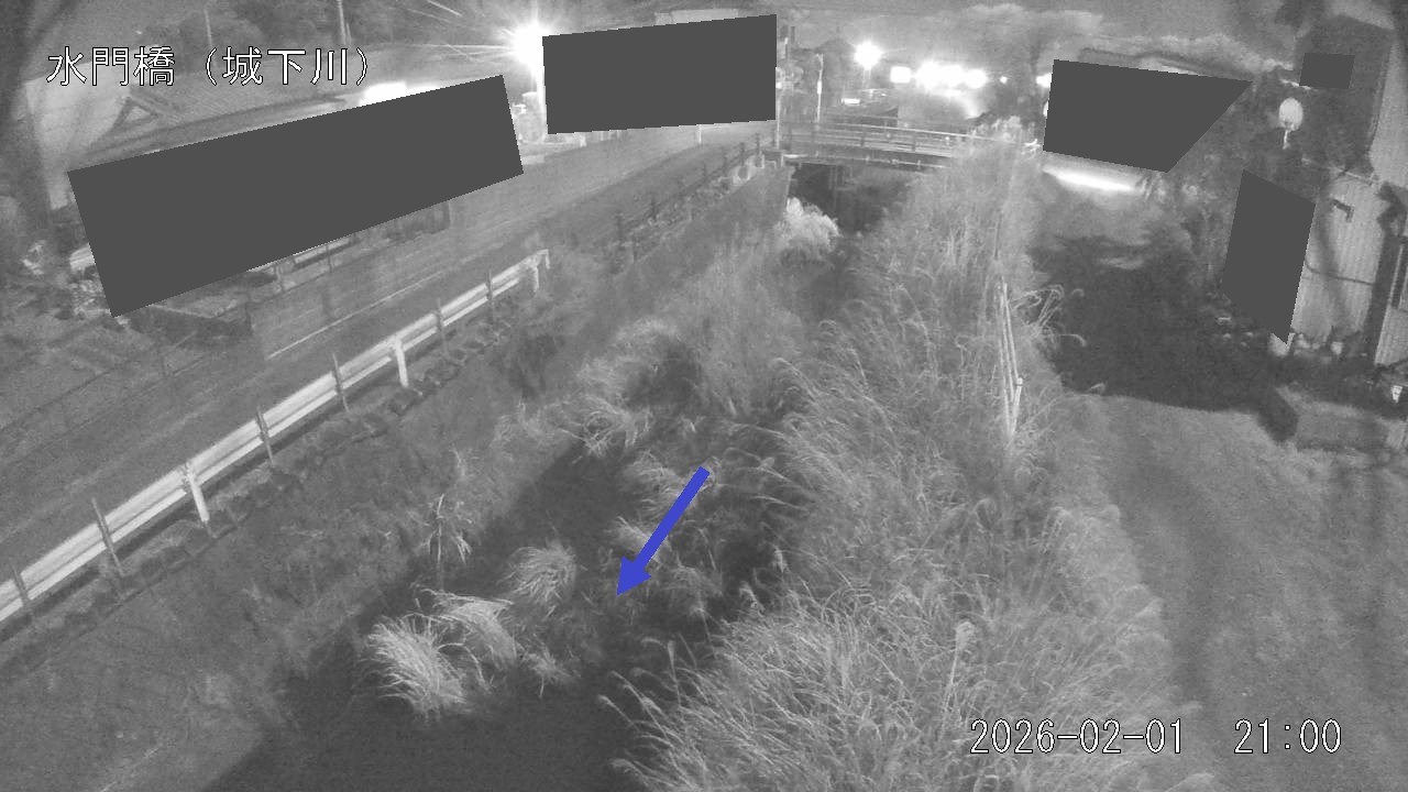 sirosi2026020121_image