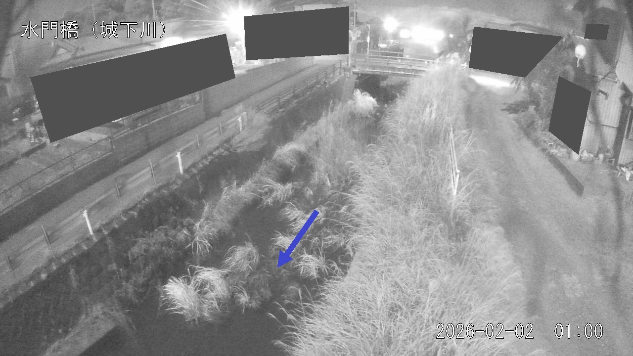 sirosi2026020201_image