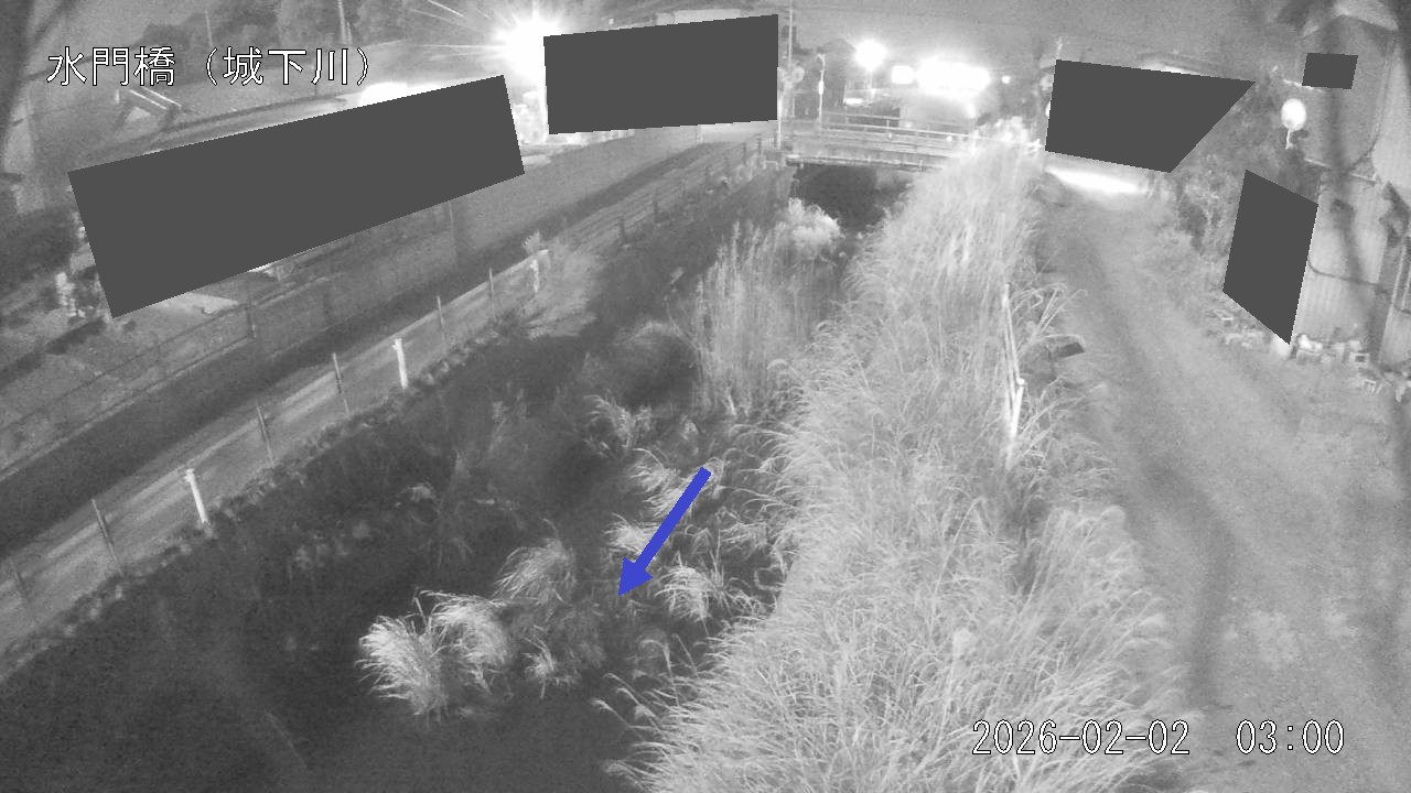 sirosi2026020203_image