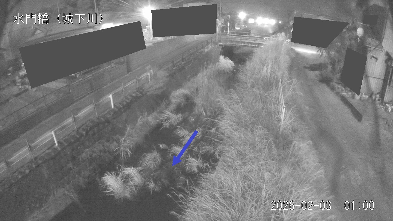 sirosi2026020301_image