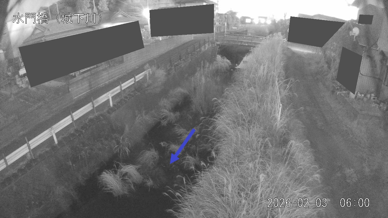 sirosi2026020306_image