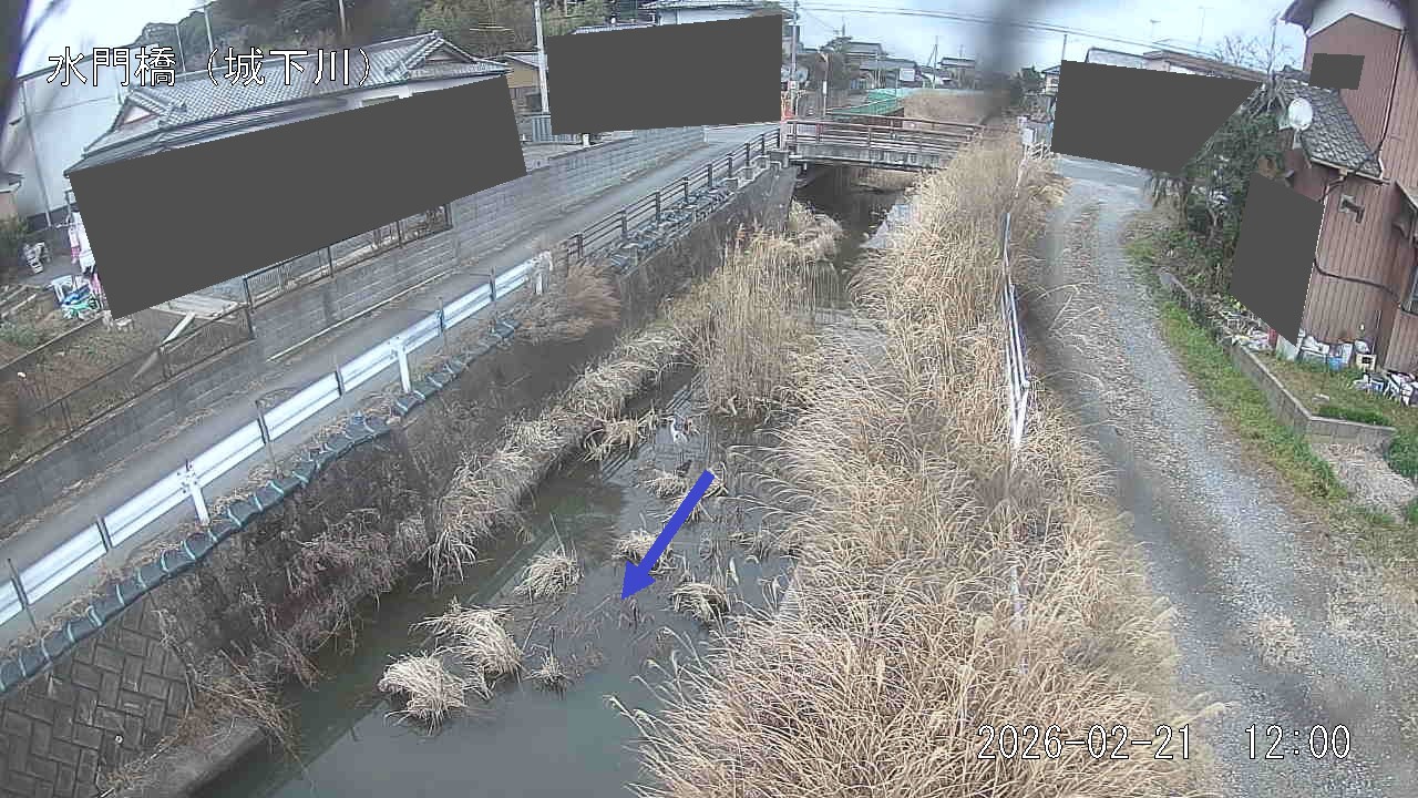 sirosi2026022112_image