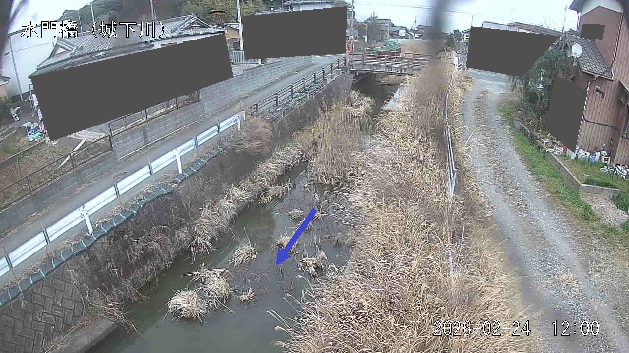 sirosi2026022412_image