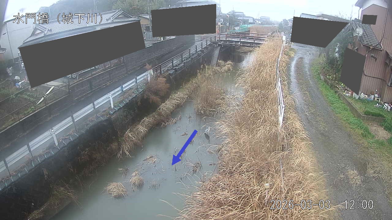 sirosi2026030312_image