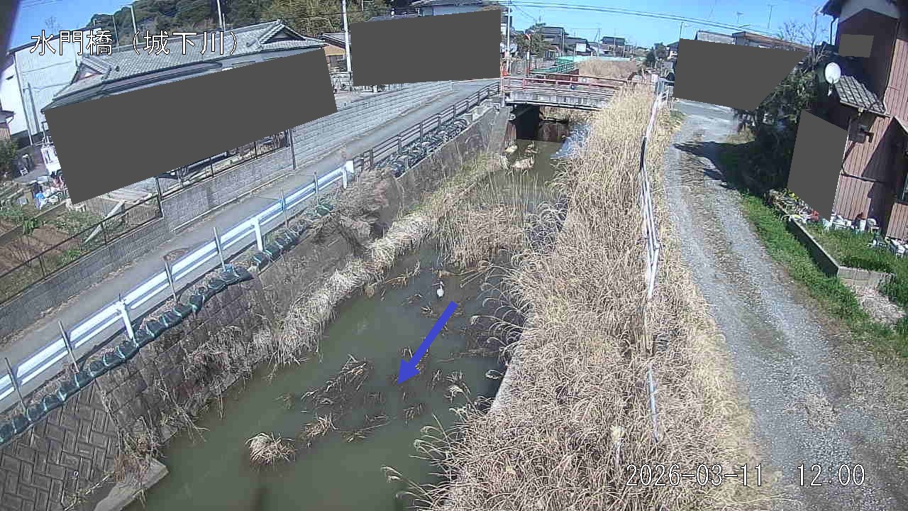 sirosi2026031112_image