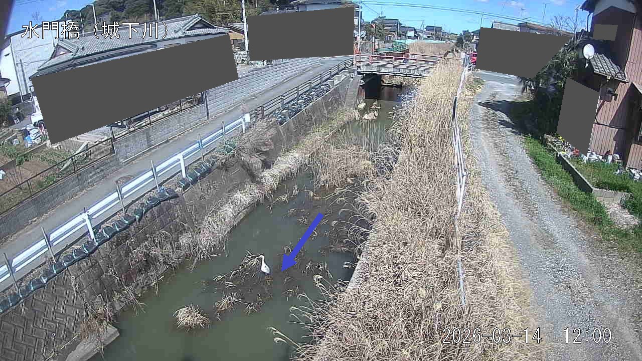 sirosi2026031412_image