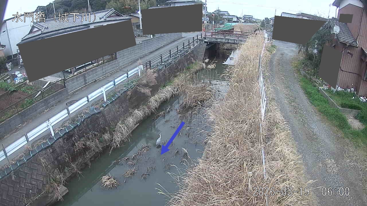 sirosi2026031906_image