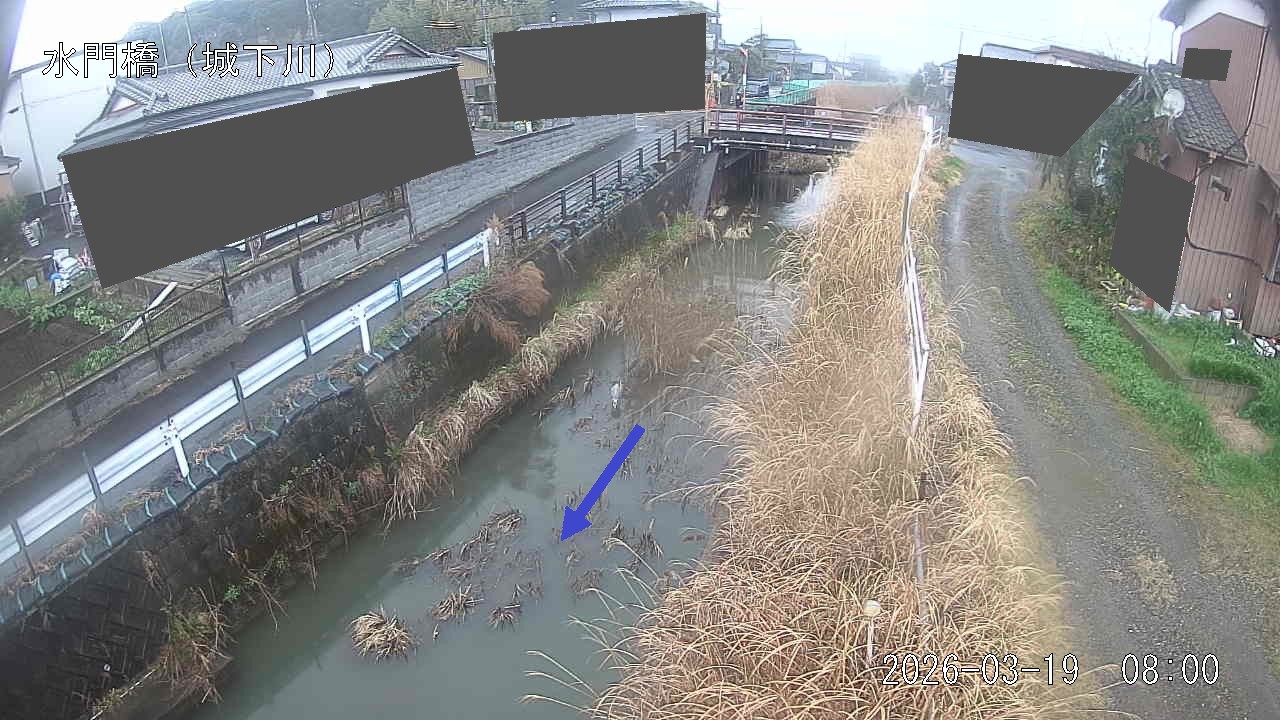 sirosi2026031908_image