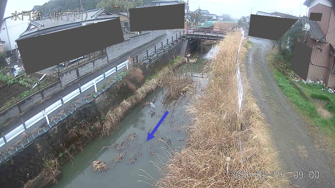 sirosi2026031909_image