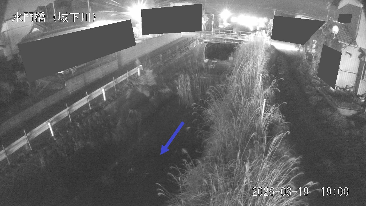 sirosi2026031919_image