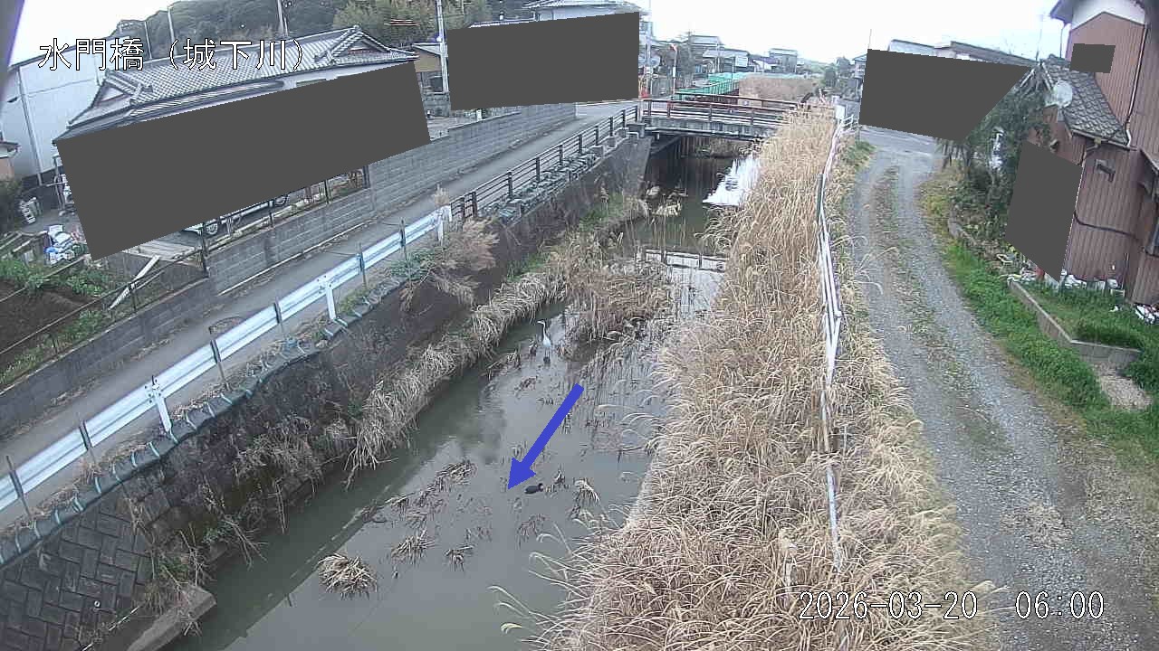 sirosi2026032006_image