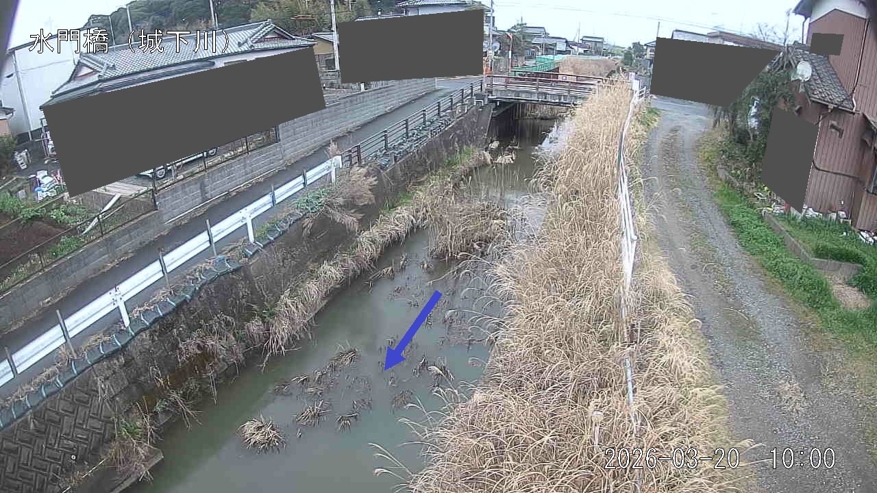 sirosi2026032010_image