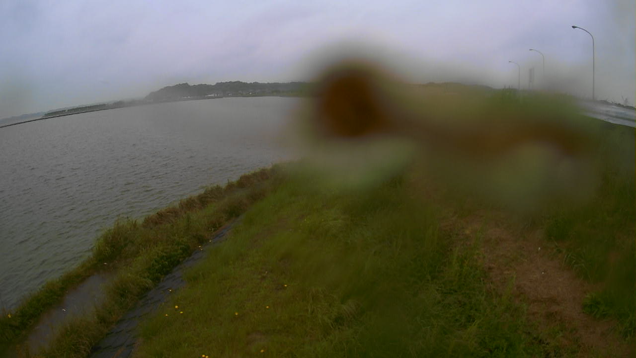 sonobe2025060312_image