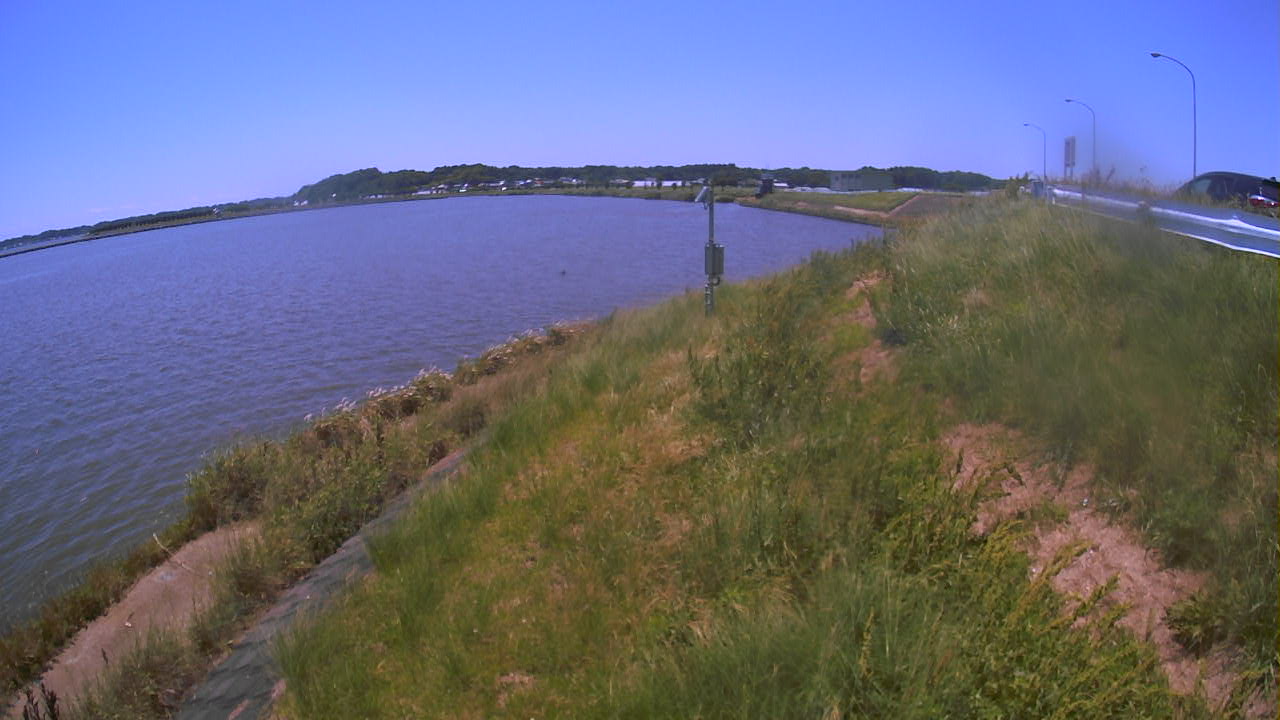 sonobe2025061812_image