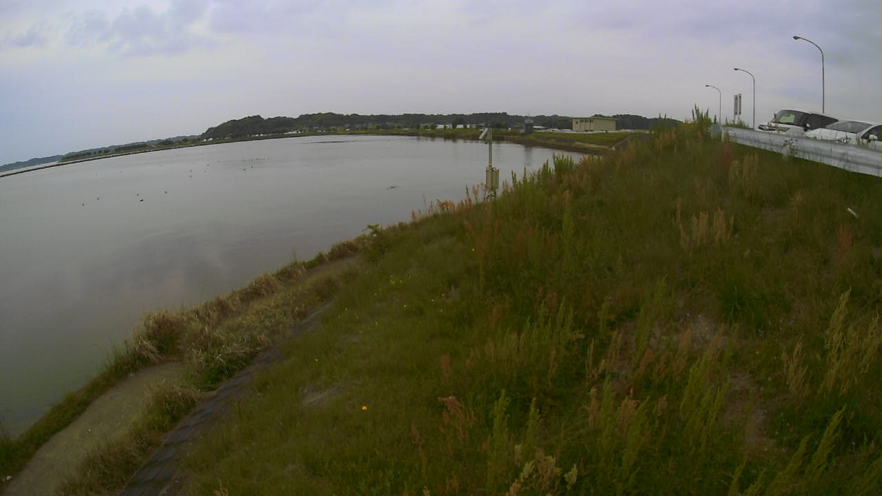 sonobe2026050310_image