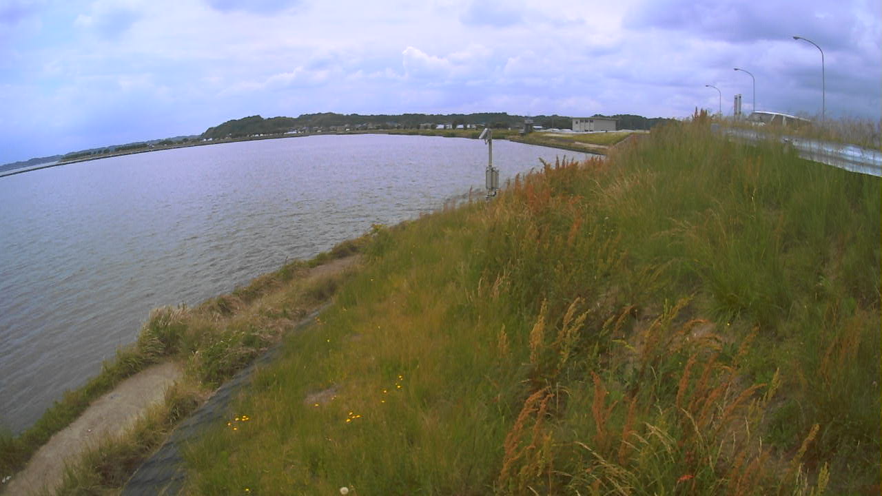 sonobe2026052412_image
