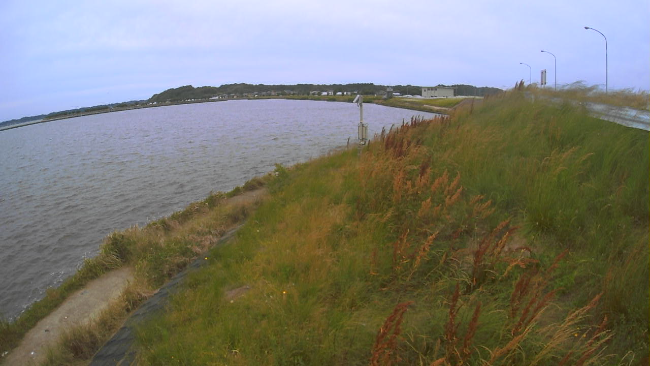 sonobe2026060212_image