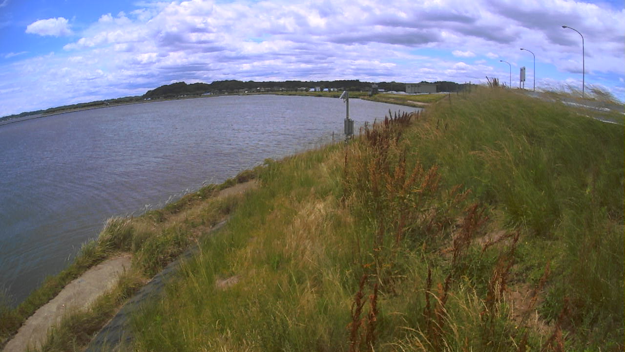 sonobe2026060412_image