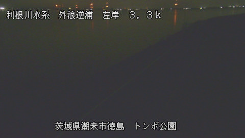 sotona2025082203_image