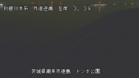 sotona2025082301_image