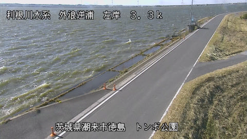 sotona2025111712_image