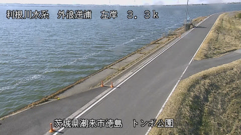 sotona2026010812_image