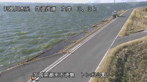 sotona2026011012_image