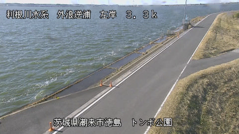 sotona2026011212_image