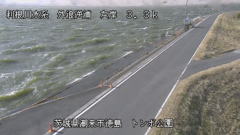 sotona2026011312_image