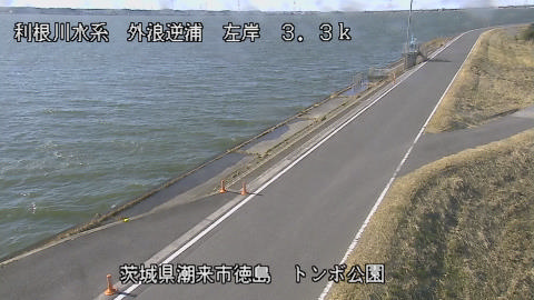 sotona2026011412_image