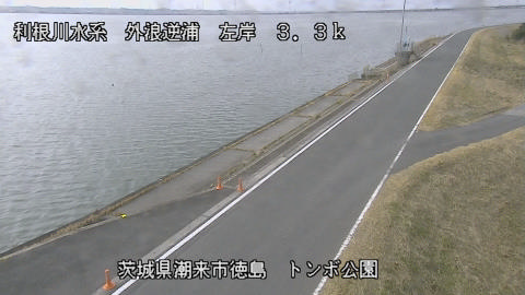 sotona2026011912_image