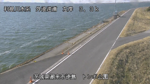 sotona2026012412_image