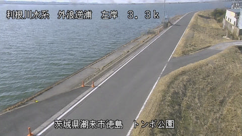 sotona2026012712_image