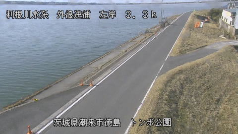 sotona2026012812_image