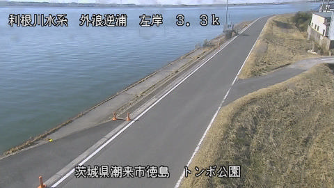 sotona2026012912_image