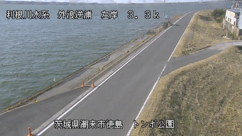 sotona2026013012_image