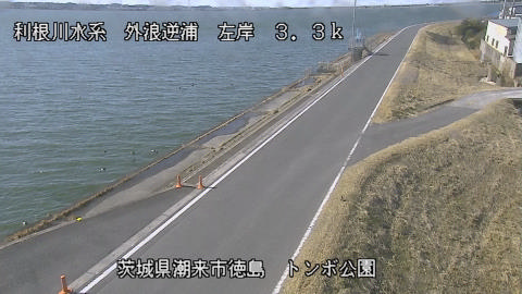 sotona2026013112_image