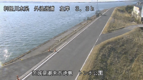 sotona2026020114_image