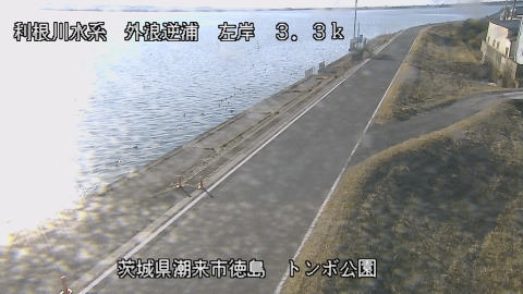 sotona2026020115_image