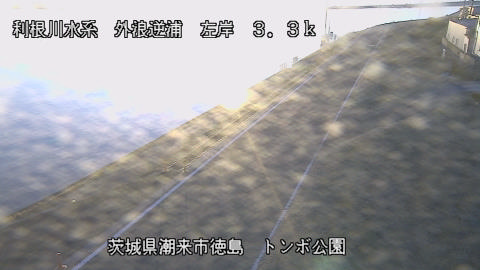 sotona2026020117_image