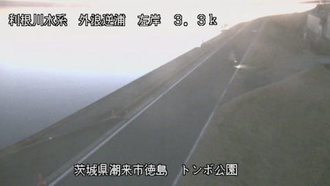 sotona2026020118_image