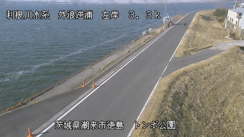 sotona2026020210_image